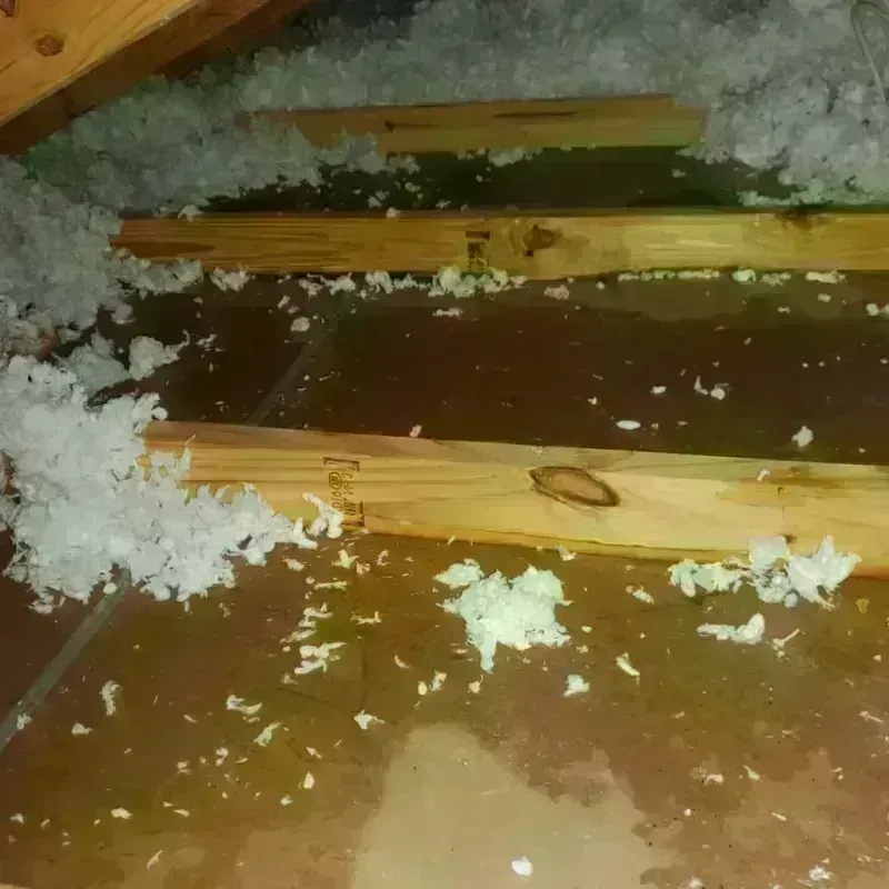 Attic Water Damage in Moretown, VT